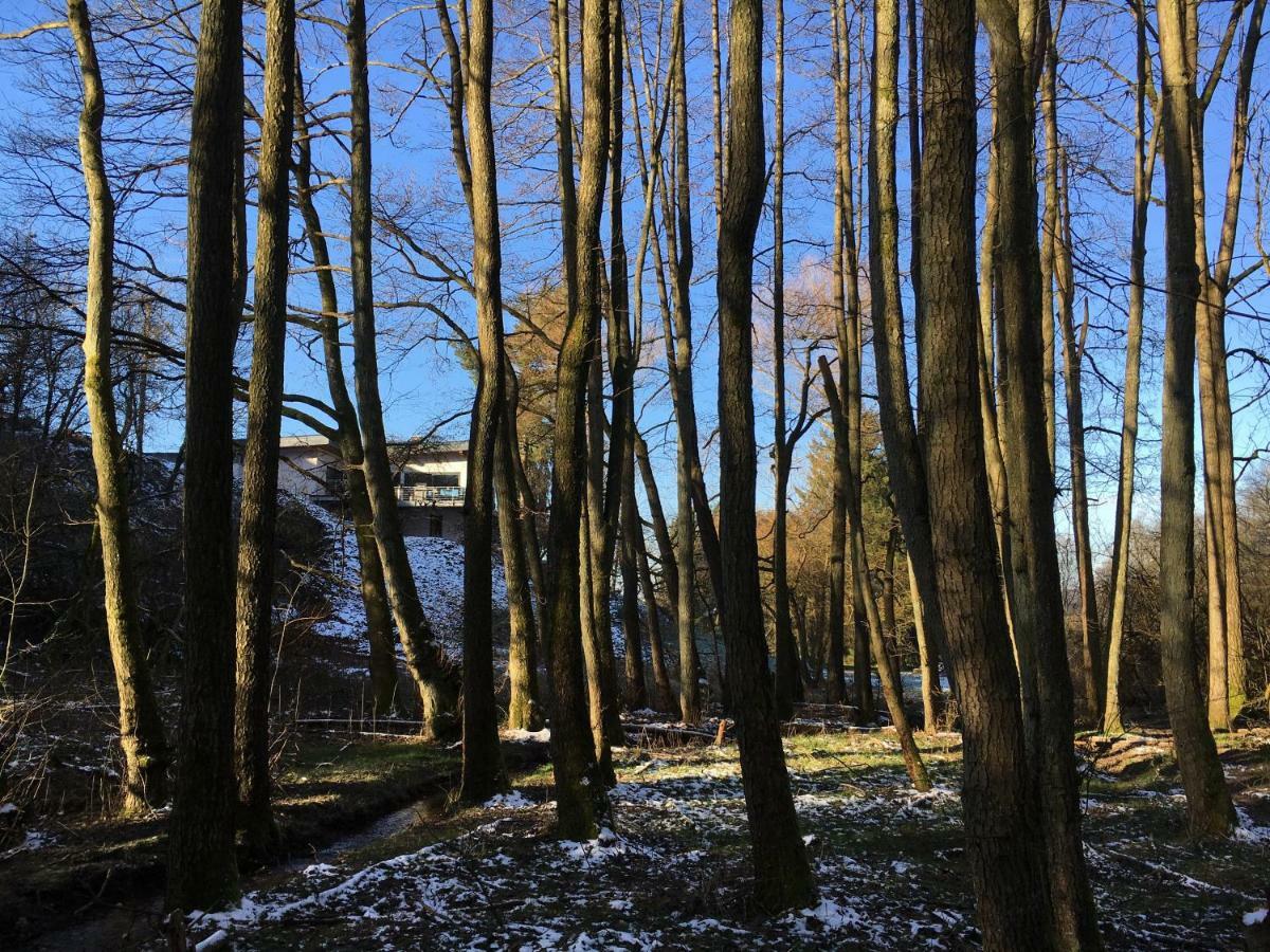 Haagalm Terrasse, Garten Nonnweiler Экстерьер фото