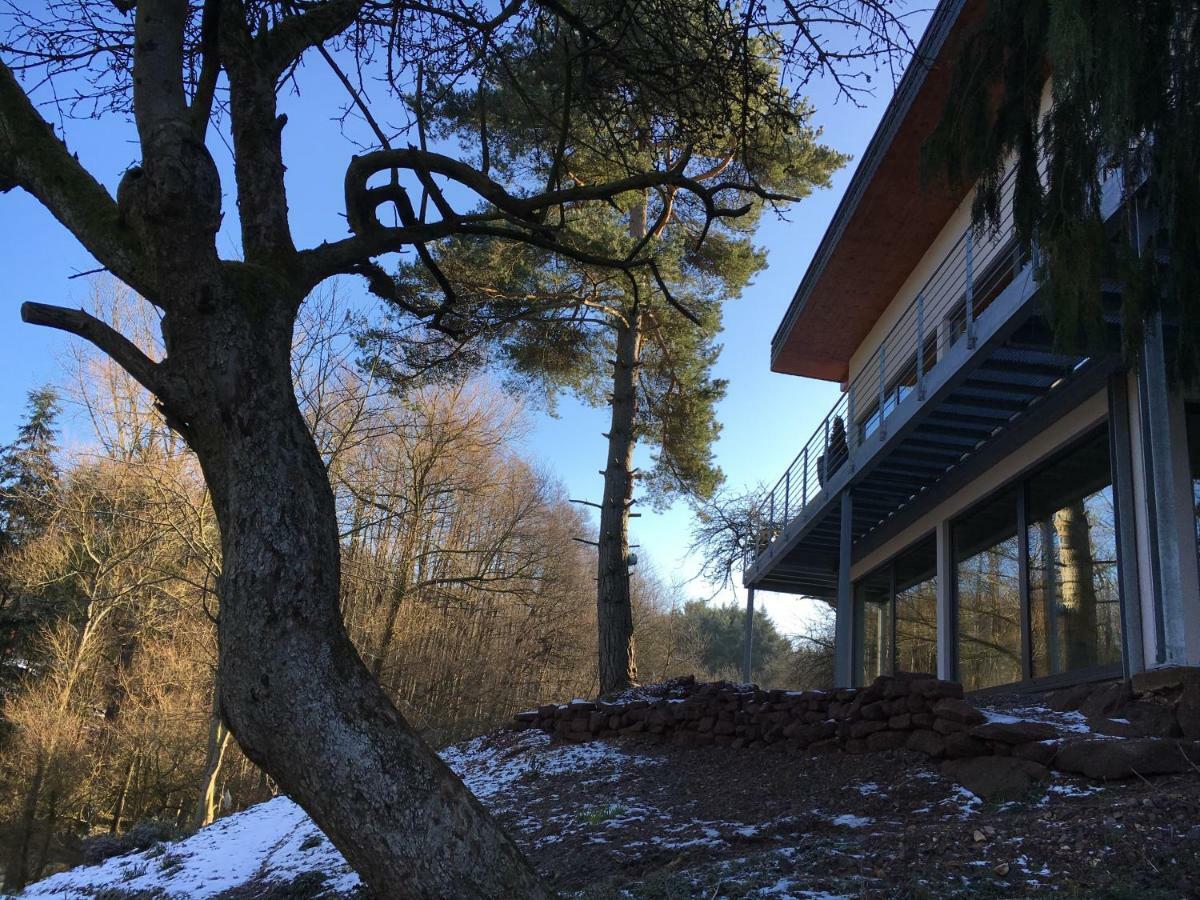 Haagalm Terrasse, Garten Nonnweiler Экстерьер фото