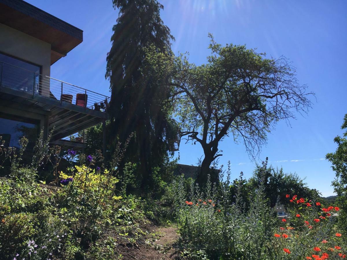 Haagalm Terrasse, Garten Nonnweiler Экстерьер фото